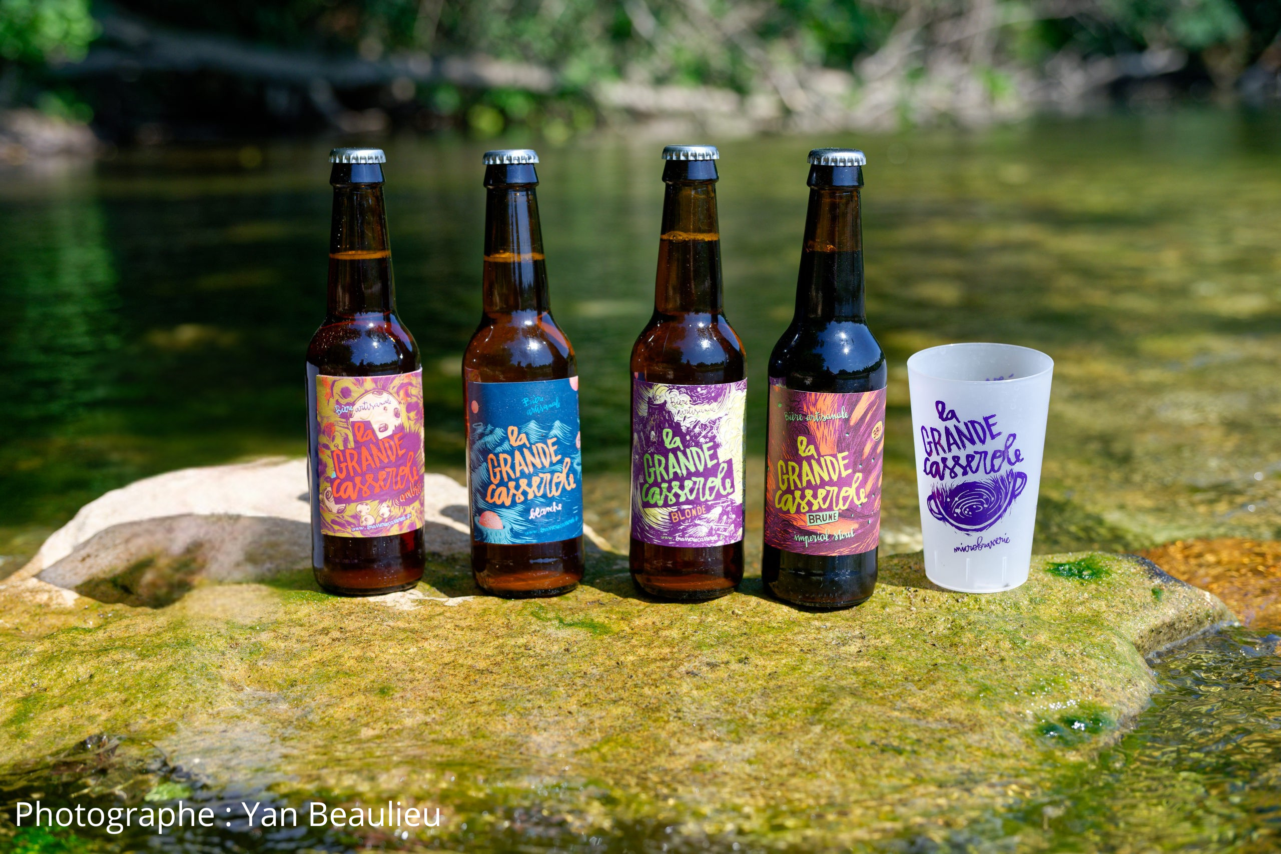 Votre texte de paragraphe(4)